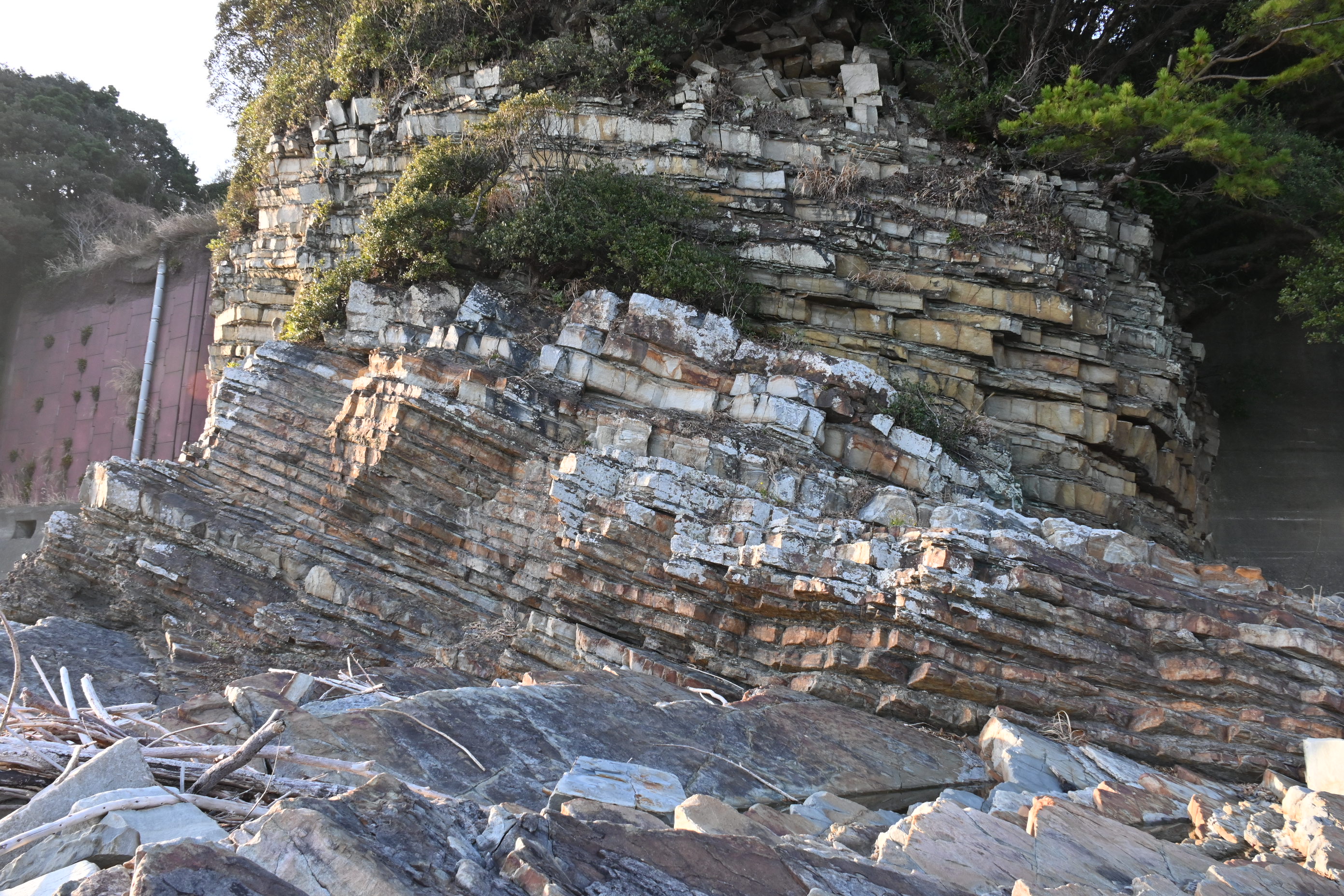 和深海岸・タービダイト【南エリア｜串本町｜ジオサイト6】